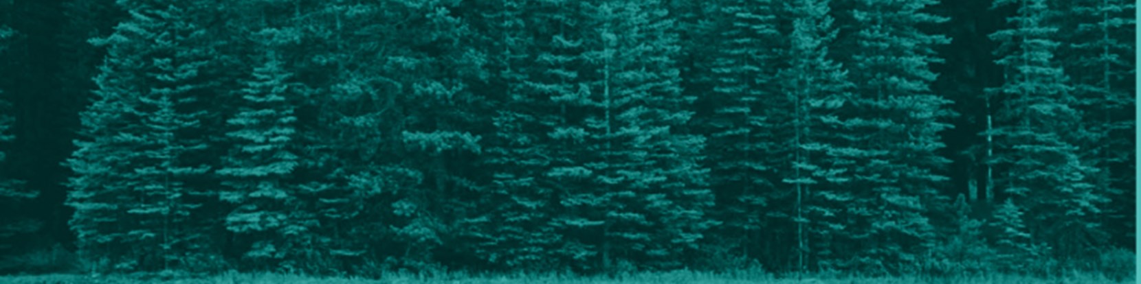 Evolving ESG regulation and its impact on DC