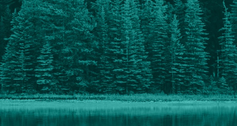 Evolving ESG regulation and its impact on DC