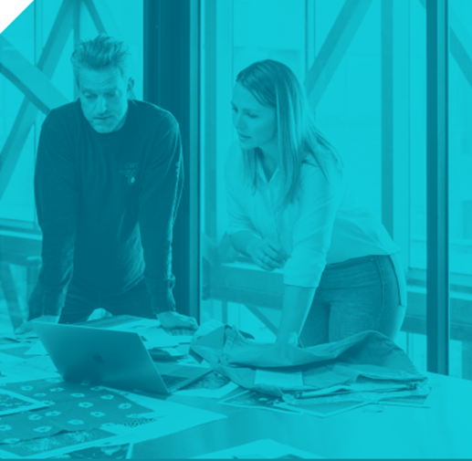 Mentoring and Development Programme