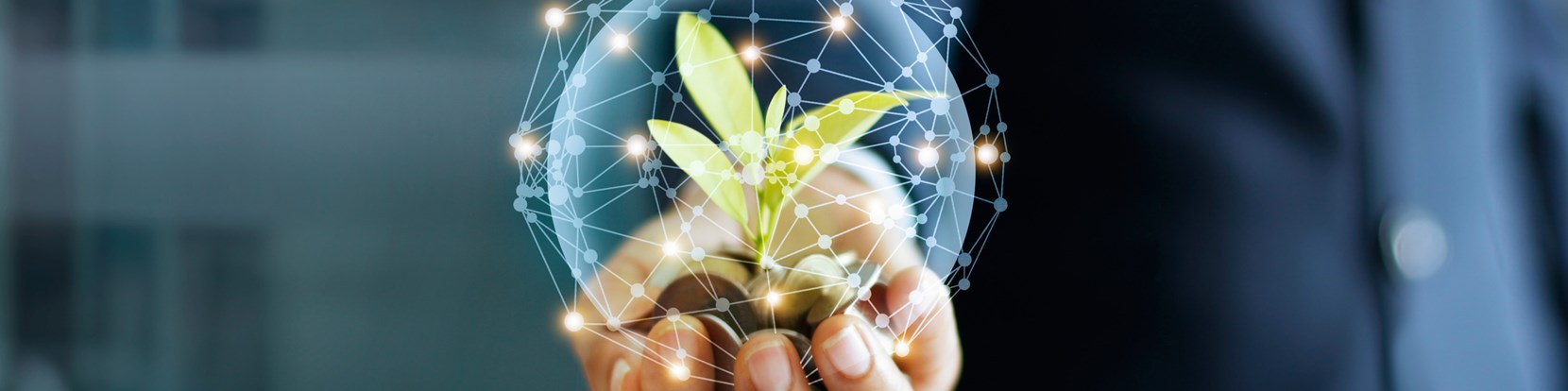 The journey to net zero