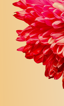 Diversity and Inclusion Conference