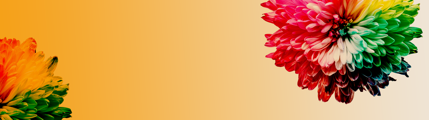 Ambiguous nature of retirement