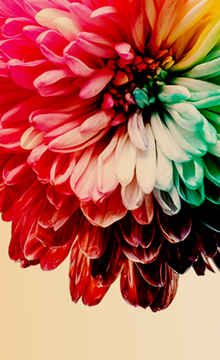 Ambiguous nature of retirement