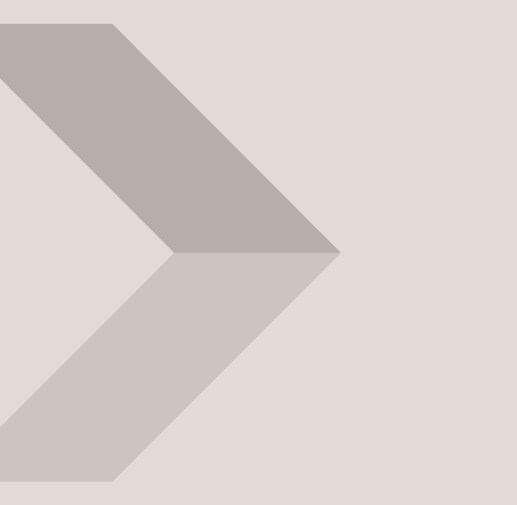 Mentoring and Development Programme