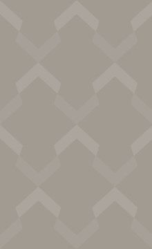 Introduction to Pensions (Advanced)